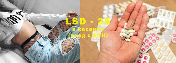 крисы Вязьма