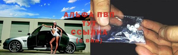ECSTASY Горняк