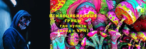крисы Вязьма