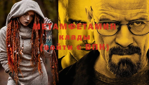 крисы Вязьма