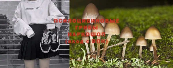 крисы Вязьма