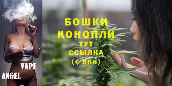ECSTASY Горняк