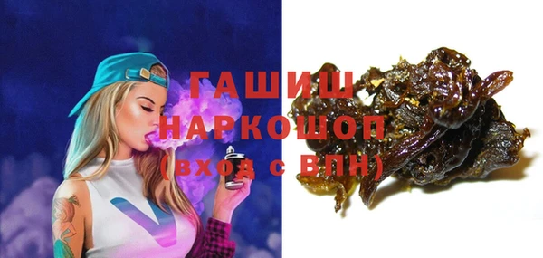 ECSTASY Горняк